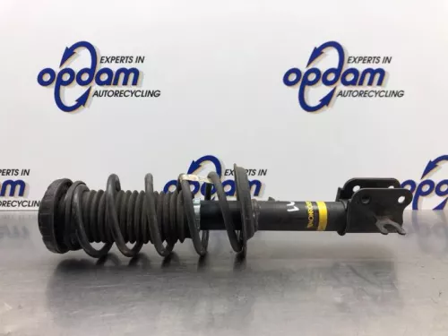 Schokdemperpoot links-voor-8144201