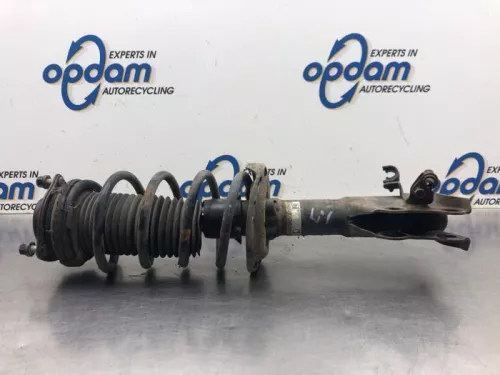 Schokdemperpoot links-voor-8076464