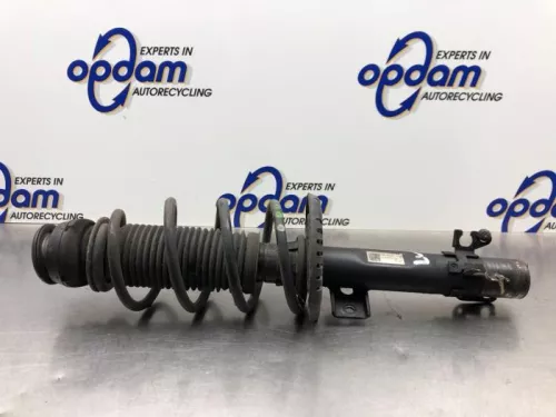 Schokdemperpoot links-voor-8204388