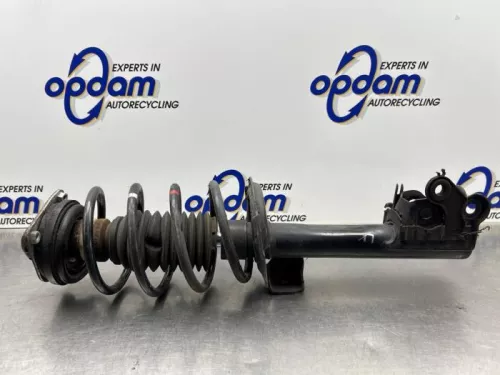 Schokdemperpoot links-voor-8221230