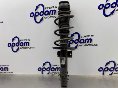 Schokdemperpoot links-voor-8292828