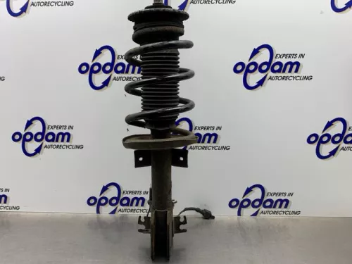 Schokdemperpoot links-voor-8292385