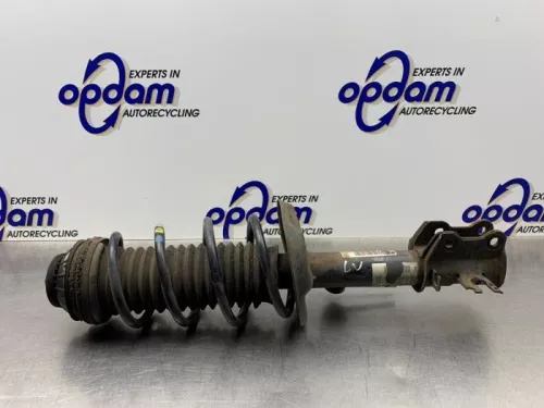 Schokdemperpoot links-voor-8237153