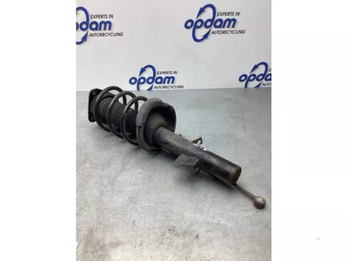 Schokdemperpoot links-voor-7821795