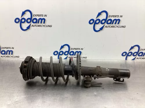 Schokdemperpoot links-voor-8050895