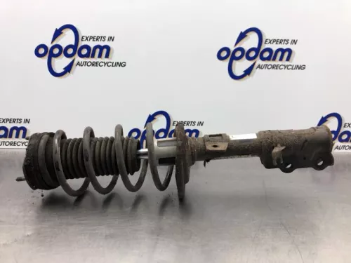 Schokdemperpoot links-voor-8096140