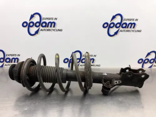 Schokdemperpoot links-voor-8193050