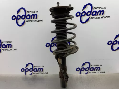 Schokdemperpoot links-voor-8180251