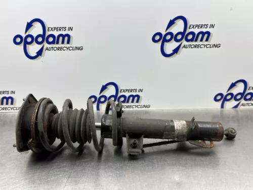 Schokdemperpoot links-voor-8217403