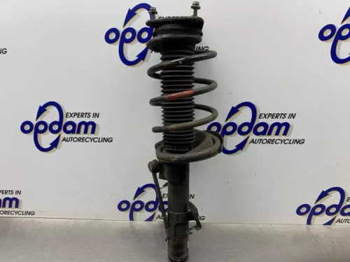Schokdemperpoot links-voor-8260569