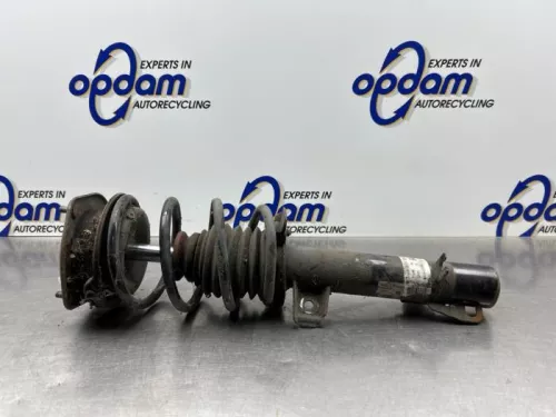 Schokdemperpoot links-voor-8118981