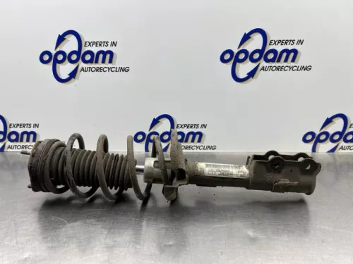 Schokdemperpoot links-voor-8284183