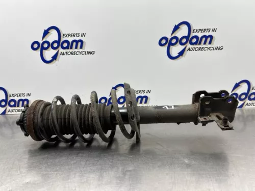 Schokdemperpoot links-voor-8283872