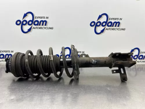 Schokdemperpoot links-voor-8309135