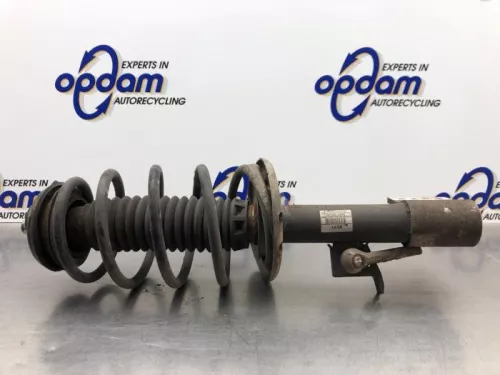 Schokdemperpoot links-voor-8192076