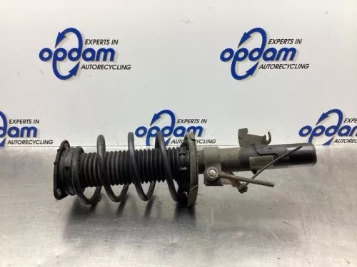 Schokdemperpoot links-voor-7821670