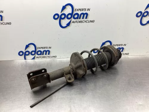 Schokdemperpoot links-voor-8046659