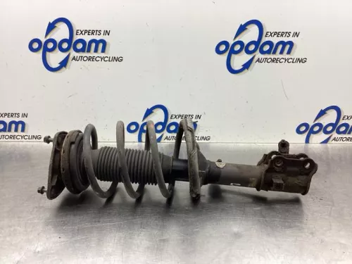 Schokdemperpoot links-voor-8097556