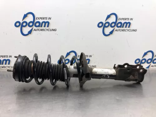 Schokdemperpoot links-voor-8162785