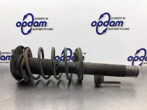 Schokdemperpoot links-voor-8112441