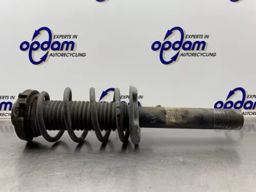 Schokdemperpoot links-voor-8191592