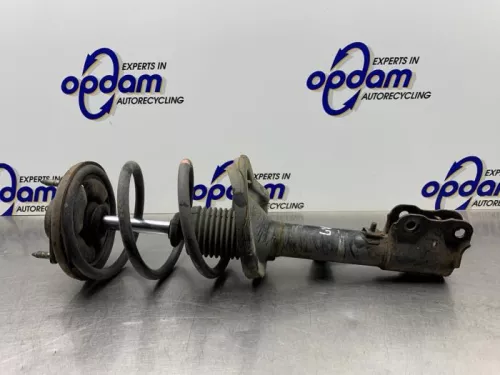 Schokdemperpoot links-voor-8094088