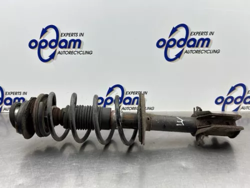 Schokdemperpoot links-voor-8271591