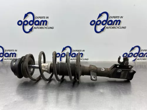 Schokdemperpoot links-voor-8300087