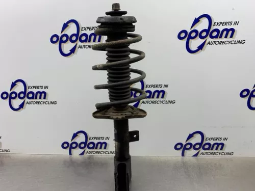 Schokdemperpoot links-voor-8203352