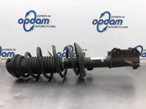 Schokdemperpoot links-voor-7940465