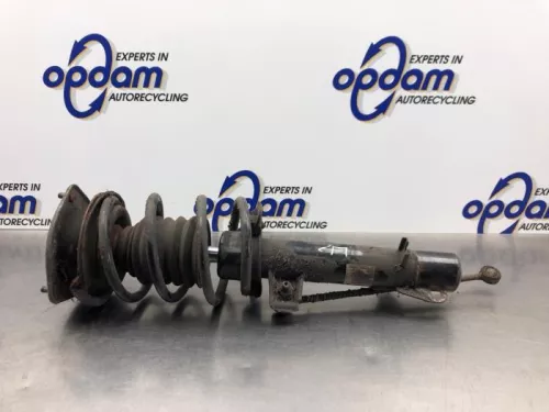 Schokdemperpoot links-voor-8218145