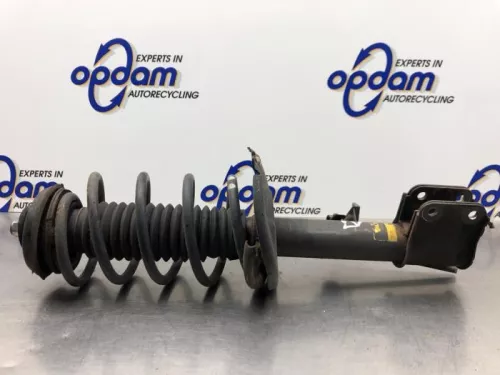 Schokdemperpoot links-voor-8206120