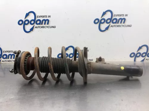 Schokdemperpoot links-voor-8174642