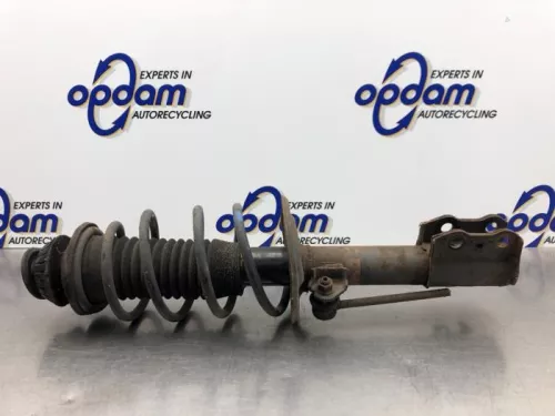 Schokdemperpoot links-voor-8115139