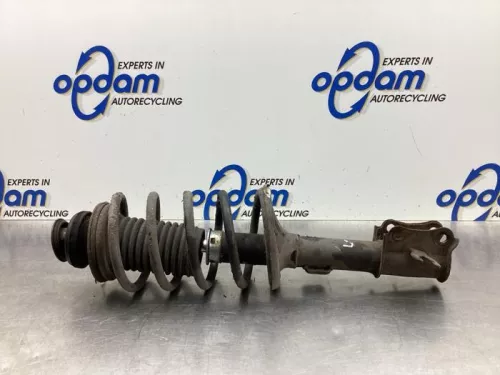 Schokdemperpoot links-voor-8061581