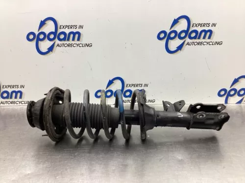 Schokdemperpoot links-voor-8043157