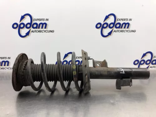 Schokdemperpoot links-voor-8083741