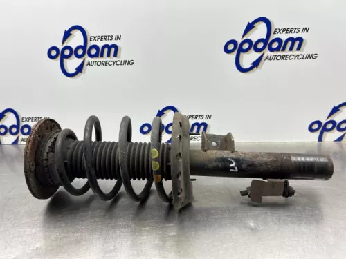 Schokdemperpoot links-voor-8192029