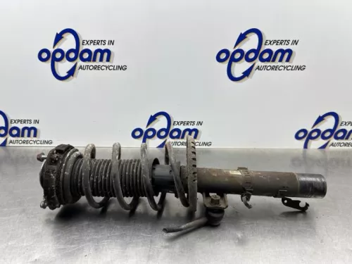 Schokdemperpoot links-voor-8299790