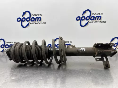 Schokdemperpoot links-voor-8309695