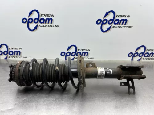 Schokdemperpoot links-voor-8227709