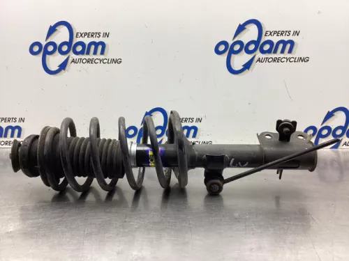 Schokdemperpoot links-voor-8135666