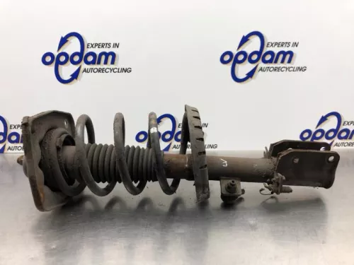 Schokdemperpoot links-voor-8200752