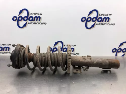 Schokdemperpoot links-voor-8181327