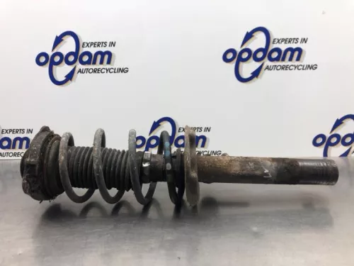 Schokdemperpoot links-voor-8175307