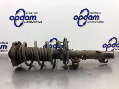 Schokdemperpoot links-voor-8191759