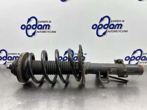 Schokdemperpoot links-voor-8254358
