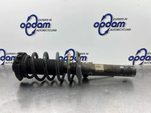 Schokdemperpoot links-voor-8072354