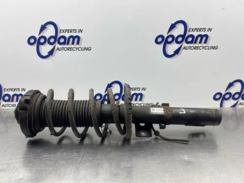 Schokdemperpoot links-voor-8284172