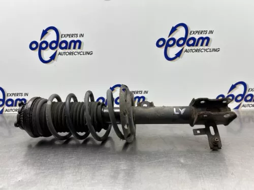 Schokdemperpoot links-voor-8263842